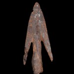 Medieval Longbow Arrow-head // 8th-10th century AD