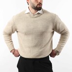 Crewneck Knit Sweater // Beige (S)