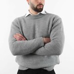 Crewneck Knit Sweater // Gray (S)