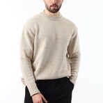 Crewneck Knit Sweater // Beige (S)