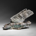 Gypsum Var. Selenite on Matrix from Rio Grande do Sul, Brazil // 394.4 g