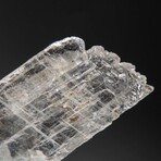 Gypsum Var. Selenite on Matrix from Rio Grande do Sul, Brazil // 394.4 g