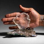 Gypsum Var. Selenite on Matrix from Rio Grande do Sul, Brazil // 1.25 lbs