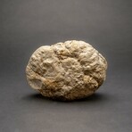 Genuine Calcite Geode From Morocco // 2 lbs