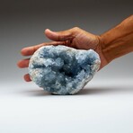 Blue Celestite Cluster From Sankoany, Ketsepy Mahajanga, Madagascar // 3.5 lbs // v.2