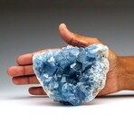 Blue Celestite Cluster From Sankoany, Ketsepy Mahajanga, Madagascar // 2 lbs
