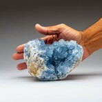 Blue Celestite Cluster From Sankoany, Ketsepy Mahajanga, Madagascar // 3.5 lbs // v.1