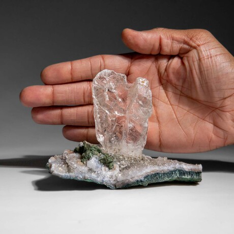 Gypsum Var. Selenite on Matrix from Rio Grande do Sul, Brazil // 297 g