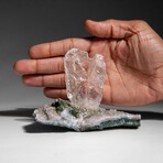 Gypsum Var. Selenite on Matrix from Rio Grande do Sul, Brazil // 297 g