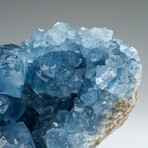 Blue Celestite Cluster From Sankoany, Ketsepy Mahajanga, Madagascar // 3.5 lbs // v.1