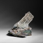 Gypsum Var. Selenite on Matrix from Rio Grande do Sul, Brazil // 394.4 g