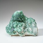 Genuine Green Fluorite from Namibia // 2.2 lbs