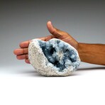 Blue Celestite Cluster From Sankoany, Ketsepy Mahajanga, Madagascar // 3 lbs