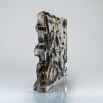 50 Genuine Bugs in Display Frame