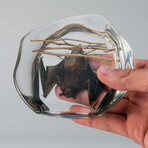 Genuine Bugs in Freeform Lucite // Hanging Bat