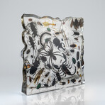 50 Genuine Bugs in Display Frame