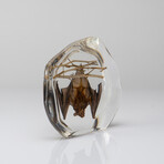 Genuine Bugs in Freeform Lucite // Hanging Bat