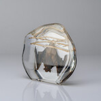 Genuine Bugs in Freeform Lucite // Hanging Bat