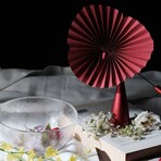 Kami Kinetic Diffuser // Rose