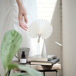 Kami Kinetic Diffuser // Gingko
