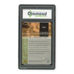 Tiger Woods // 2001 Upper Deck Tiger's Tale // RC // DGA 10 GM