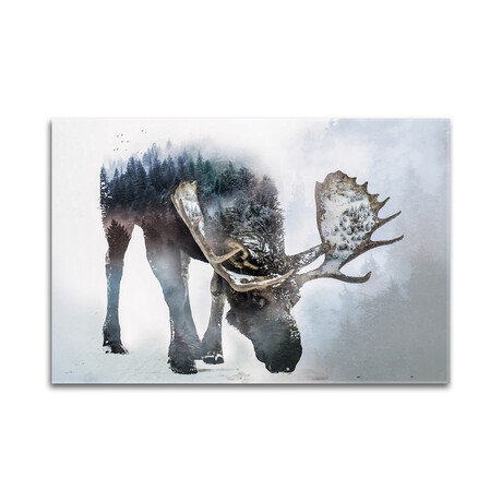 Nature Moose // Print on Acrylic Glass by Paul Haag (24x16)