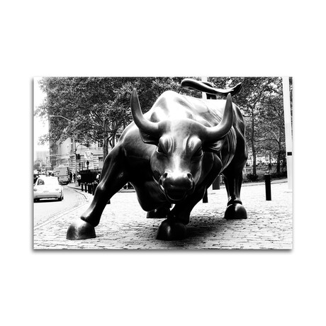 Wall Street Bull Black & White // Print on Acrylic Glass (24x16)