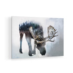 Nature Moose // Print on Acrylic Glass by Paul Haag (24x16)