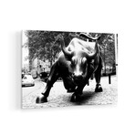 Wall Street Bull Black & White // Print on Acrylic Glass (24x16)