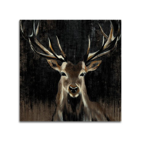 Young Buck // Print on Acrylic Glass by Liz Jardine (24x24)