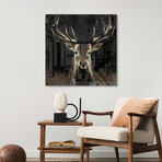 Young Buck // Print on Acrylic Glass by Liz Jardine (24x24)