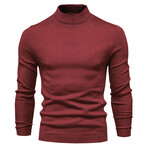 Solid Turtleneck Sweater // Bordo (L)