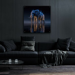 Magestic Moonlight Elephant 2 (12"H x 12"W x 0.13"D)