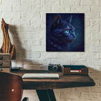 Feline Starlight (12"H x 12"W x 0.13"D)
