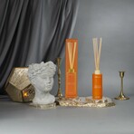 5oz Reed Diffuser (Smells Like Pumpkin Spice)