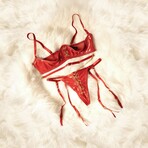 Intense 2Pc Bra Set // Red (S)