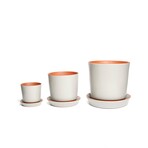 Push Planter Set of 3 (White)