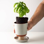 Push Planter Set of 3 (White)