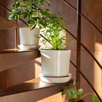 Push Planter Set of 3 (White)