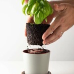 Push Planter Set of 3 (White)