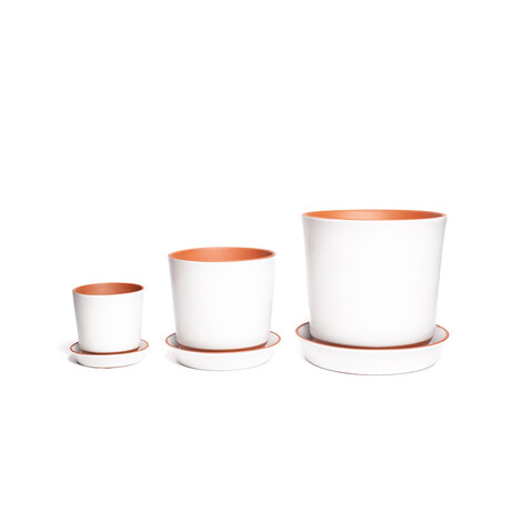 Ba985b1a4d83317832c3b66875b02763 medium