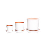 Push Planter Set of 3 (White)
