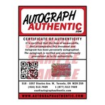 Stan Lee // Iron Man // Sgned Framed Display