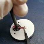 Squall Maestrale Quartz // SQ-SSOJ