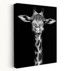 Giraffe by Incado (16"H x 24"W x 1.5"D)