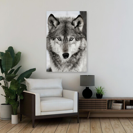 Stare Down by Lisa Dearing (16"H x 24"W x 1.5"D)