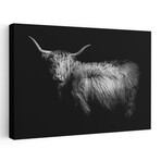 Hello by PhotoINC Studio (16"H x 24"W x 1.5"D)