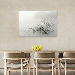 Zen Lake by Nicholas Bell (16"H x 24"W x 1.5"D)