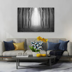 Dark Woods by PhotoINC Studio (16"H x 24"W x 1.5"D)