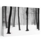 Winter Fog by Kelly Sinclair (16"H x 24"W x 1.5"D)